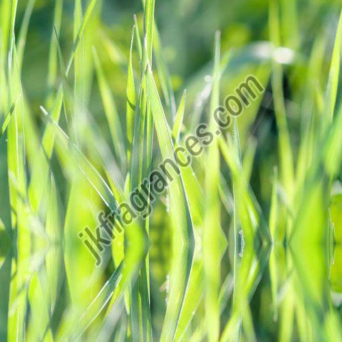 Organic Palmarosa Oil