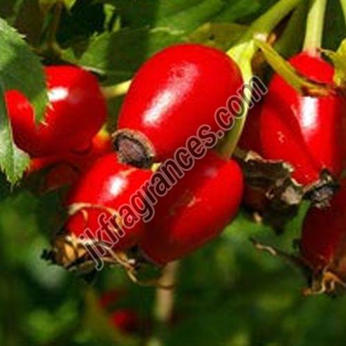 Rosehip Seed Oil