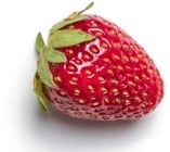 Fresh Strawberry, Packaging Type : Carton Or Punnet
