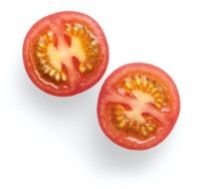 Fresh Tomato for Cooking, Salads, Sauces