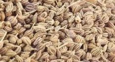 Ajwain (Carrom) Seeds