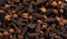 cloves
