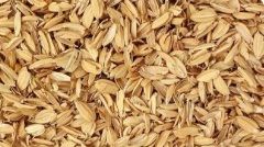 Rice Bran