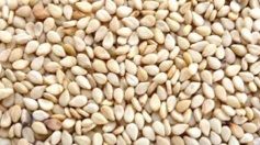 sesame seeds
