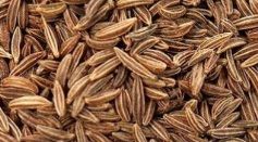 Shahjeera (Caraway) Seeds