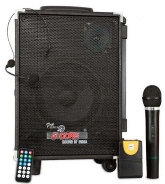 Public Address System for Sports Stadiums