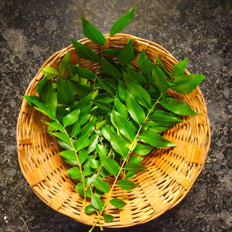 curry leaves