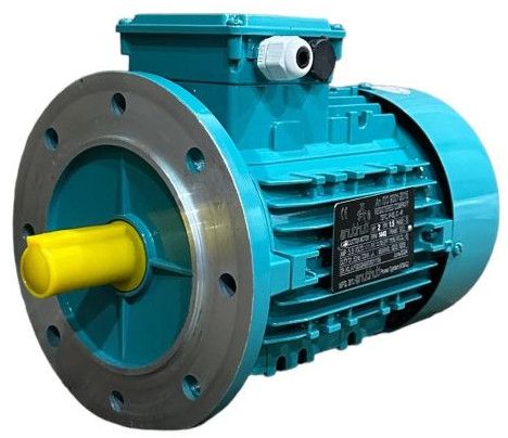 2 HP Three Phase Electric Motor