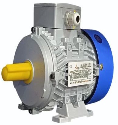 2HP Ci Three Phase Induction Motor