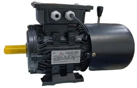 3 Phase Induction Brake Motor