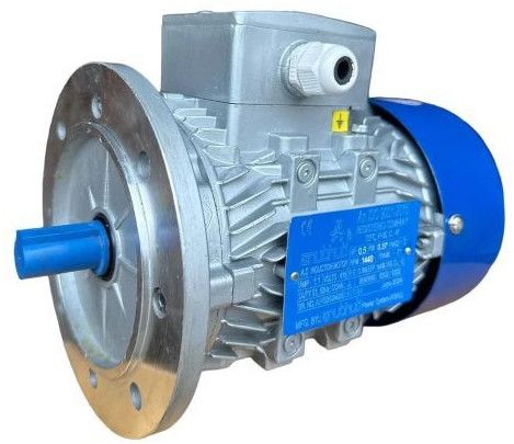 Flange Motors