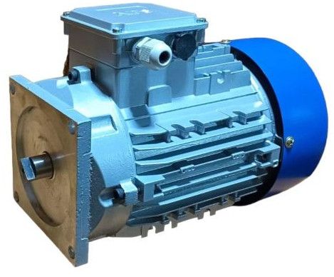 hydraulic motor