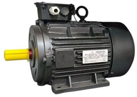 Induction Electric Motor