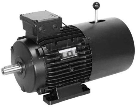 Three Phase Crane Duty Motor