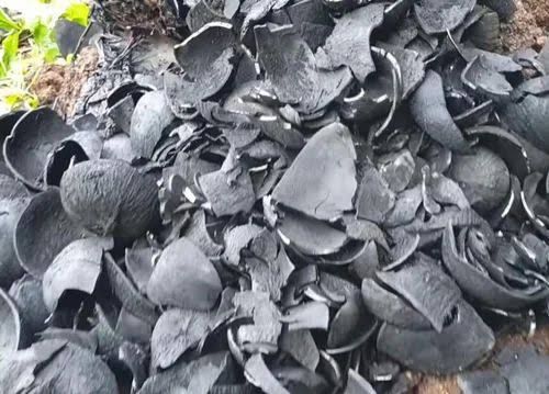 Bit Natural Coconut Shell Charcoal, Color : Black Dried