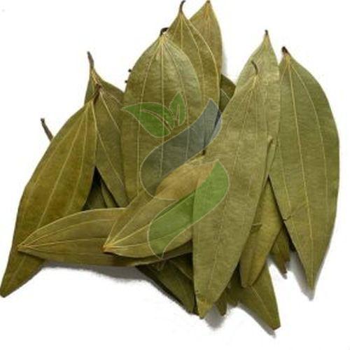 Dried Bay Leaves, Color : Green, Packaging Type : Sealed Container