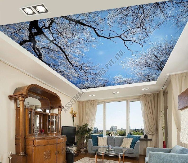 Stretch Ceiling Fitting Service