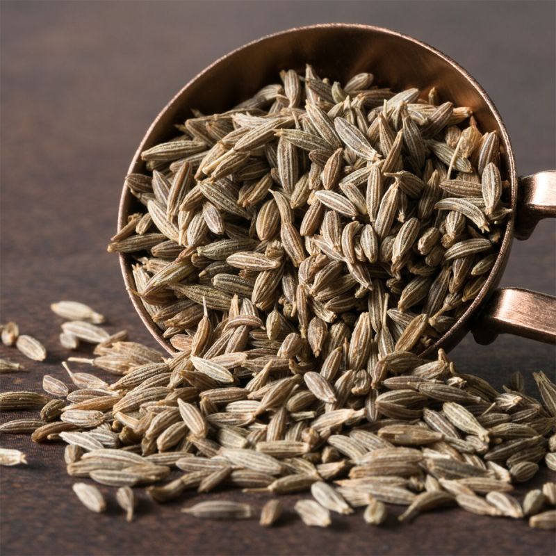 cumin seed