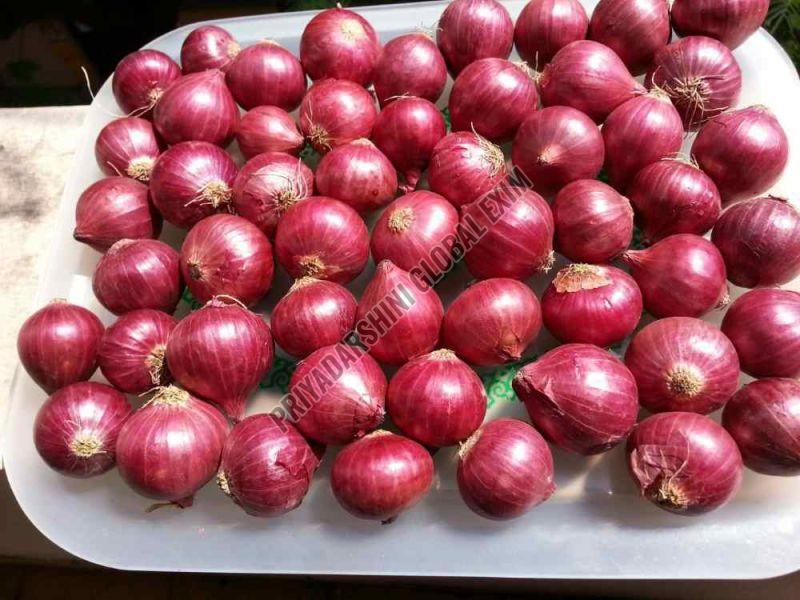 Fresh Bellary Red Onion