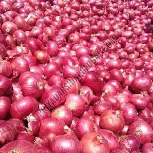 Fresh Nashik Red Onion
