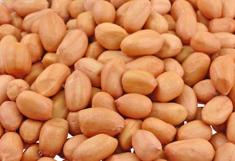 Natural Groundnut Seeds, Certification : FSSAI Certified for Cooking