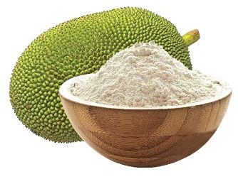 Green Jack Fruit Powder, Packaging Type : Sealed Bag