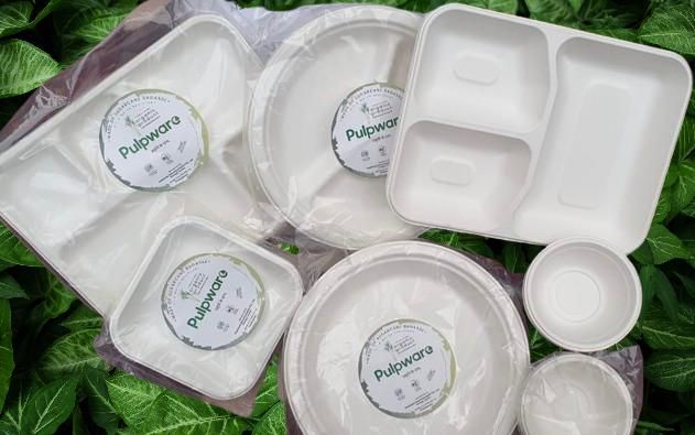 Biodegradable Sugarcane Bagasse Dinner Set