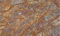 Polished Natural Stone Rainforest Brown Marble Standard Slab Sizes
