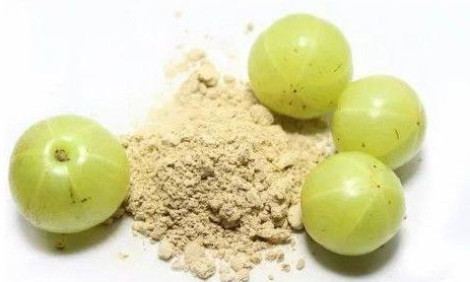 Dehydrated Amla Powder