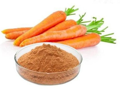 Dehydrated Carrot Powder