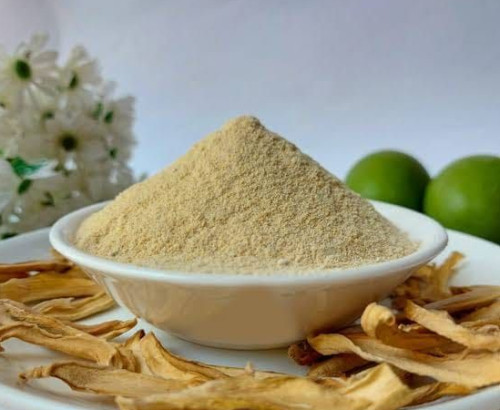 Dehydrated Dry Mango Powder