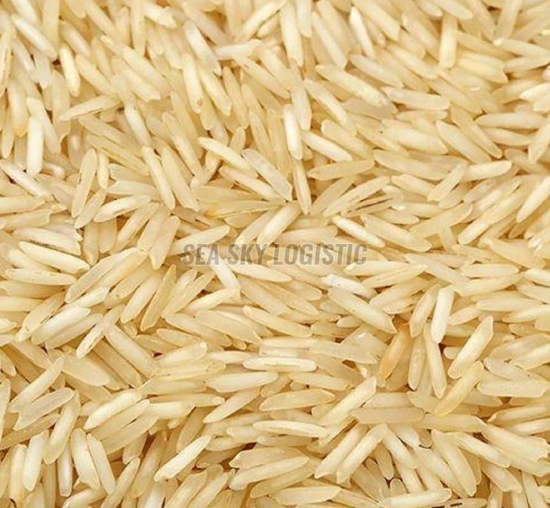 1509 golden sella rice