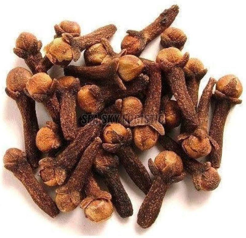 Clove