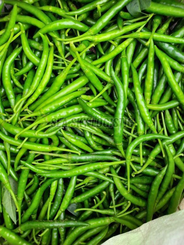fresh green chilli