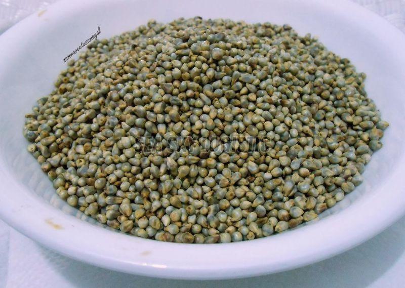 Green Millet