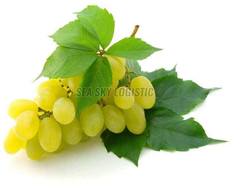 Seedless Green Grapes