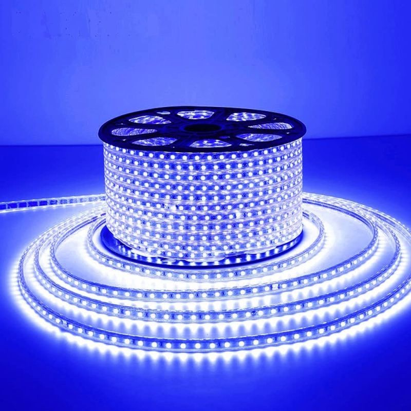 Blue 30m LED Rope Light