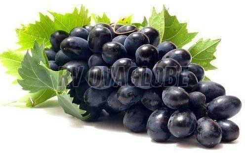 A Grade Fresh Black Grapes