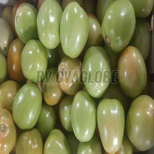 A Grade Fresh Green Tomato, Can Be Used In Salads,sandwiches,sauces,and Cooking
