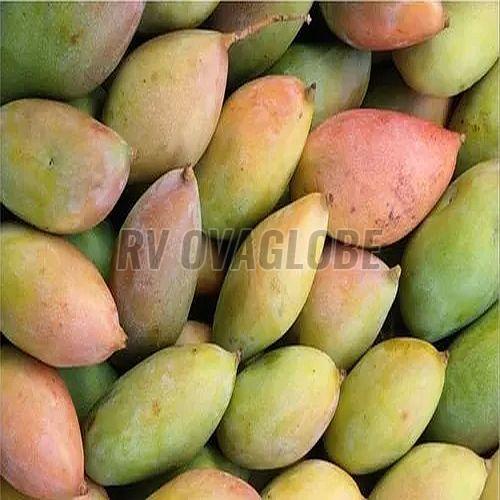 A Grade Fresh Totapuri Mango