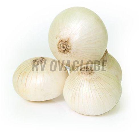 A Grade Fresh White Onion