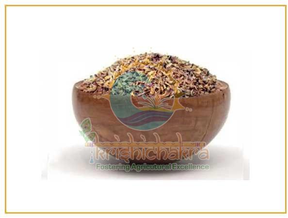 A Grade Dehydrated Onion Granules