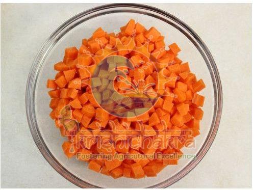 Dehydrated Carrot Cubes, Packaging Type : Orange