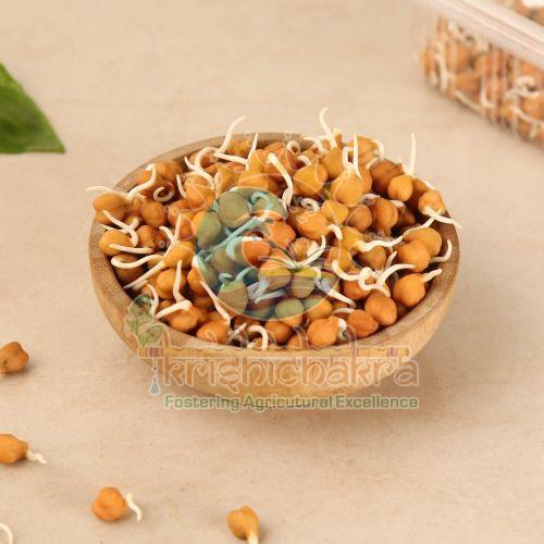 Dried Chana Sprouts