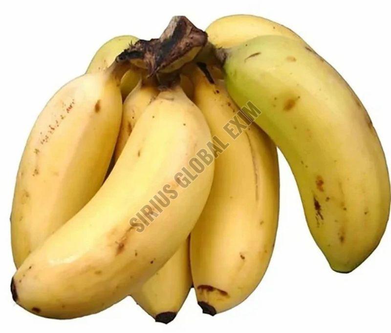 A Grade Organic Rasthali Banana