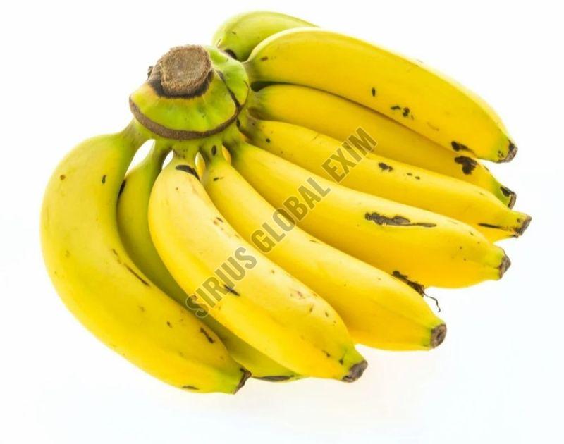 Fresh Baby Banana