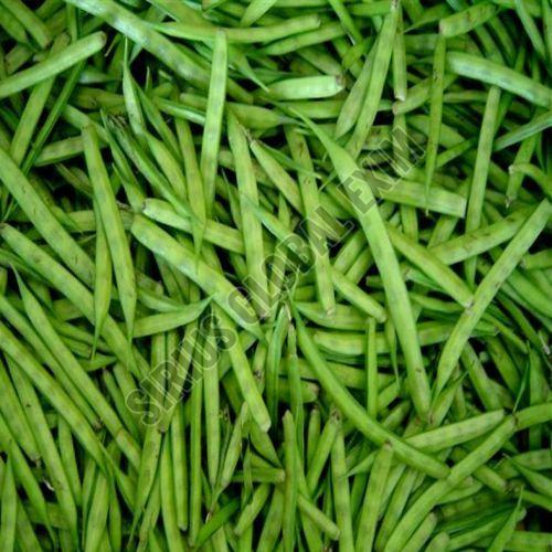 Fresh Guar Beans, Color : Bright Green, Length : 6-10 Cm Pods