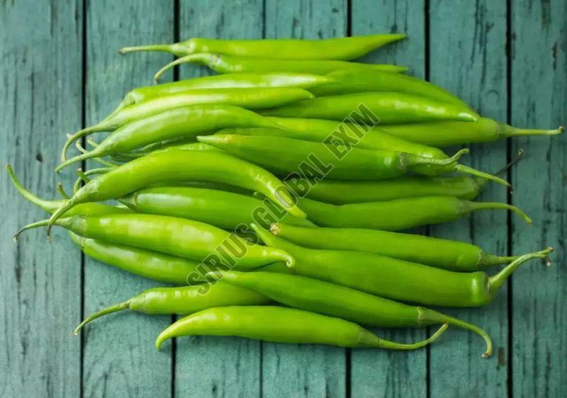 Fresh Long Green Chilli