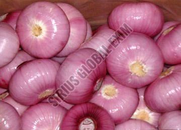 Fresh Peeled Onion