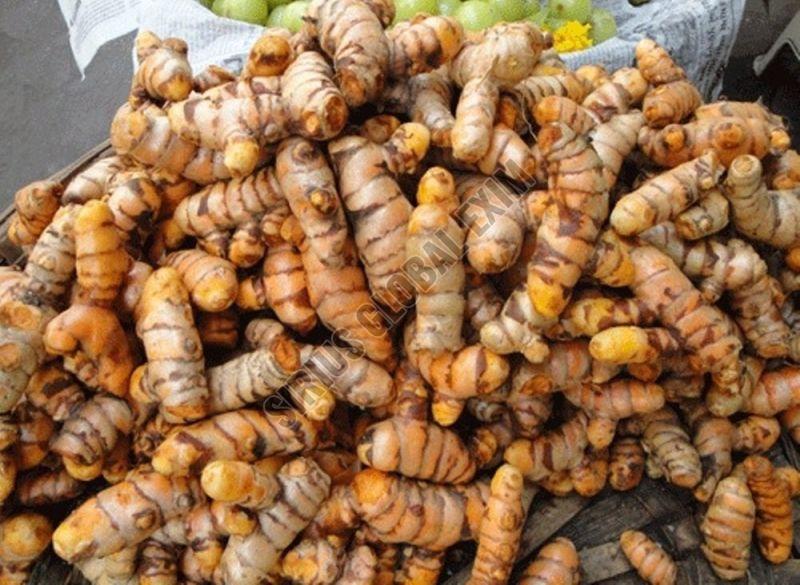 Fresh Salem Turmeric